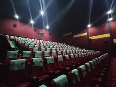 -横店电影城(玫瑰城店)