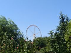 -辛玛王国游乐园