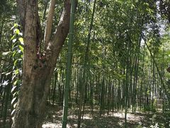 -乌镇东栅景区