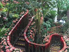 -正佳雨林生态植物园