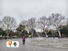 -运河游船(武林门码头)