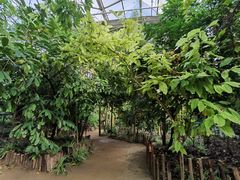 -呀路古热带植物园