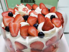 -维尔纳斯·生日蛋糕·动物奶油冰淇淋蛋糕(六里桥店)