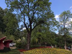 -广州市流溪河国家森林公园