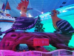 -鄂尔多斯野生动物园