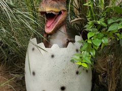 -呀路古热带植物园
