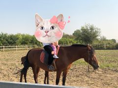 -京津新城温德姆至尊酒店(珠江大道店)