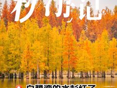 -白鹭湾湿地公园