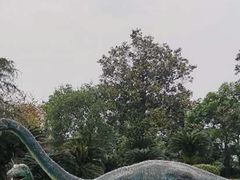 -自贡恐龙博物馆