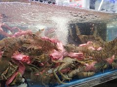 -盒马鲜生(观音桥店)