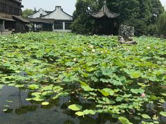 -乌镇望津里精品酒店