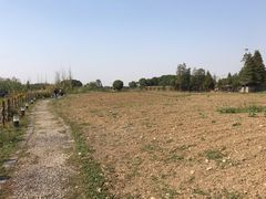 -田园东方蜜桃村的田野营地