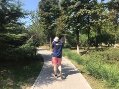 -北京麋鹿生态实验中心