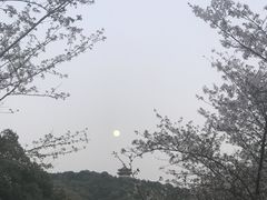 -杭州花家山庄