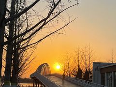 -大兴滨河森林公园