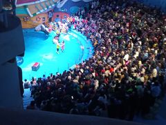 -烟台海昌鲸鲨海洋公园