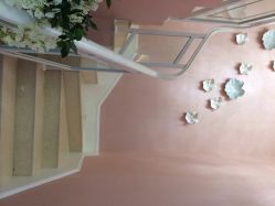 悦己堂-悦己堂美容养生SPA