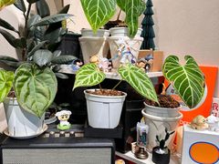 -Dogi&kiki Coffee(中心商务大厦店)