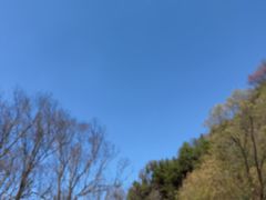 -陕西省红河谷森林公园