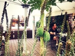 -卖花卖汤(荣祥广场店)