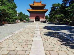 -北陵公园