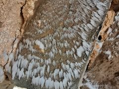 -蟠龙山长城景区