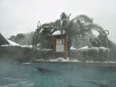 -咸宁万豪温泉谷度假区