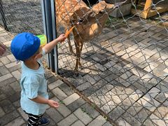 -长白岛森林公园