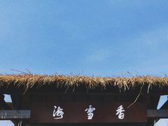-香雪海