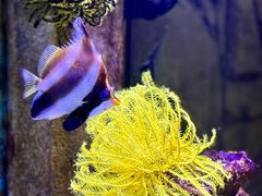 -合肥海洋世界