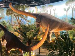 -陕西自然博物馆