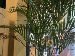 -涟LIAN·泰式按摩·MASSAGE·SPA(深业上城店)