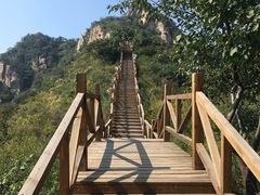 -大岭沟猕猴桃谷风景区