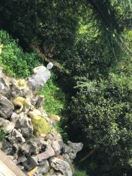 -珍珠泉水上世界