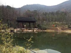 -习家池