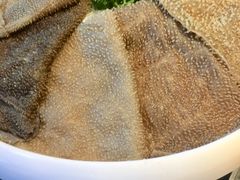 -杨肥肠火锅大排档(火车站花园店)