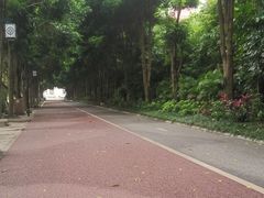 -南宁南湖公园