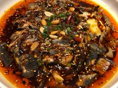 -铁公鸡·四川料理(天环广场店)
