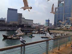 -百年港湾奥特莱斯(香炉礁店)