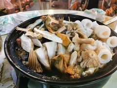 -七采菌园·野生菌石锅鱼(环城北路店)