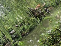 -台儿庄古城