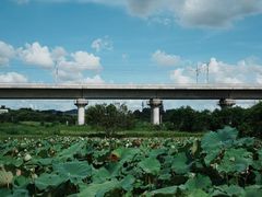-光明小镇欢乐田园