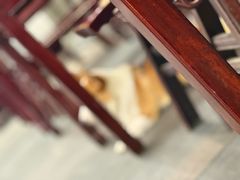 -丁莲芳(红旗路店)