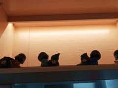 -蟹盛(上海白玉兰广场店)