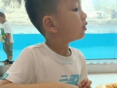 -帝企鹅自助餐厅•儿童岛•真企鹅(长隆企鹅酒店)