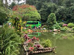 -深圳仙湖植物园
