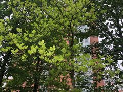 -杭州电子科技大学(下沙校区)