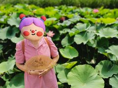 -前关湿地公园