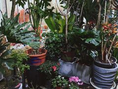 循礼门花市.cw-循礼门鲜花花市(武汉循礼门店)