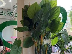 -SENTEA森茶(麦地丽日店)